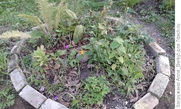 лесная композиция