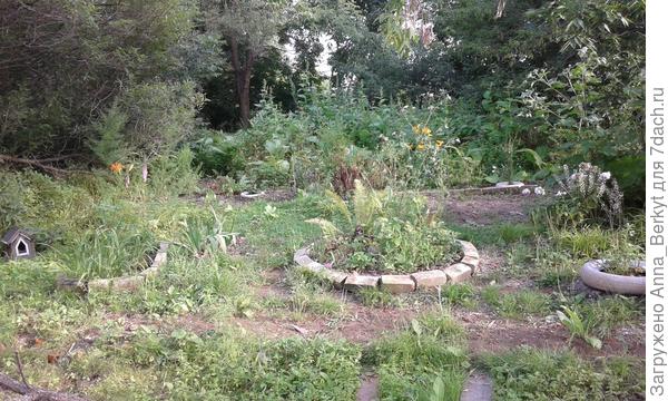 общим планом с захватом лесной композиции, чтобы было понятно где этот ряд