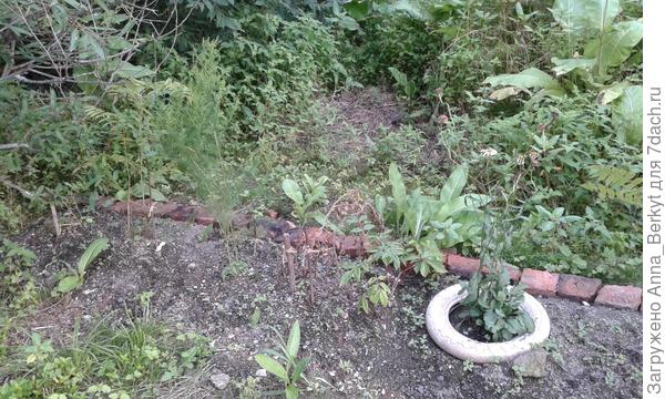 ряд длинный... по-частям слева направо