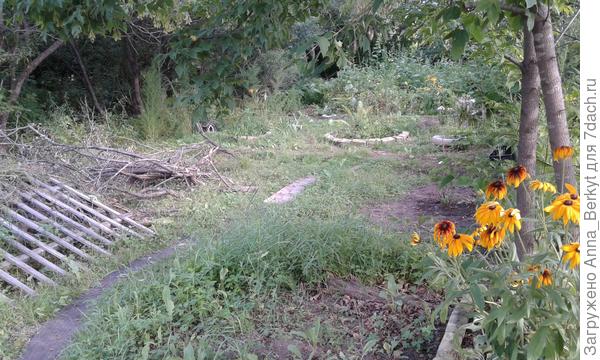 вид от входа в заборе... сейчас спиливаю старые и сухие ветви с деревьев возле ручья... примерно на том месте, где сейчас кучка ветвей, хочу делать пруд в будущем