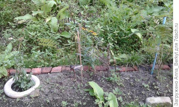 следующая часть слева