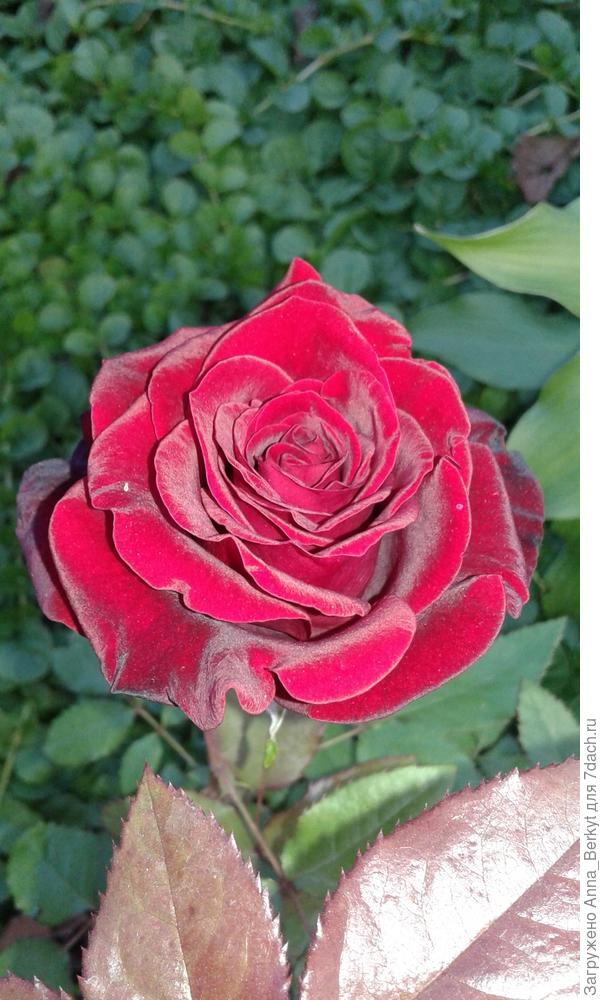 вечернее время