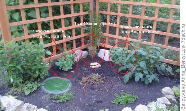 такое расположение