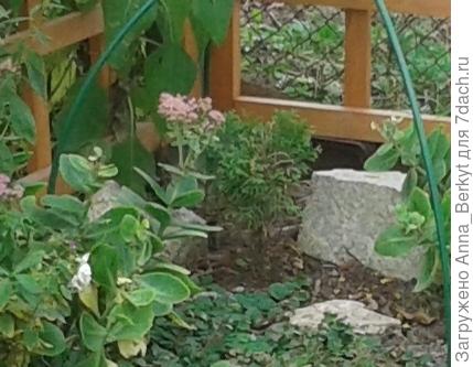 туечка в начале октября