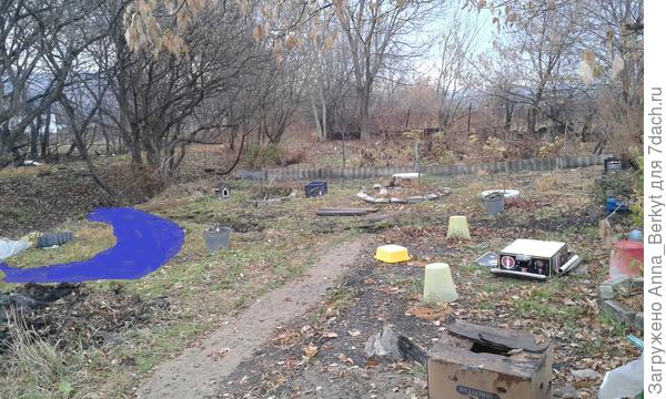 примерно нарисовала пруд, чтобы было понятно
