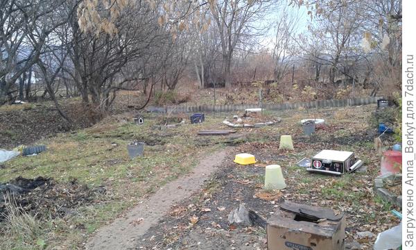 сделала намётки, контур, будущего пруда в виде подковы... он будет соединяться двумя концами "подковы" с 'ручьём'