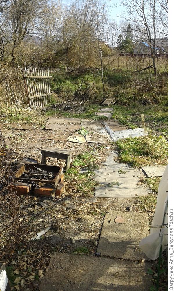так выглядела дорожка от прохода в заборе до 'ручья'... я на лето накидала там кусков жести, чтобы остановить рост лопуха и других трав