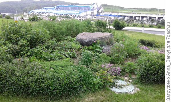 Такой вариант