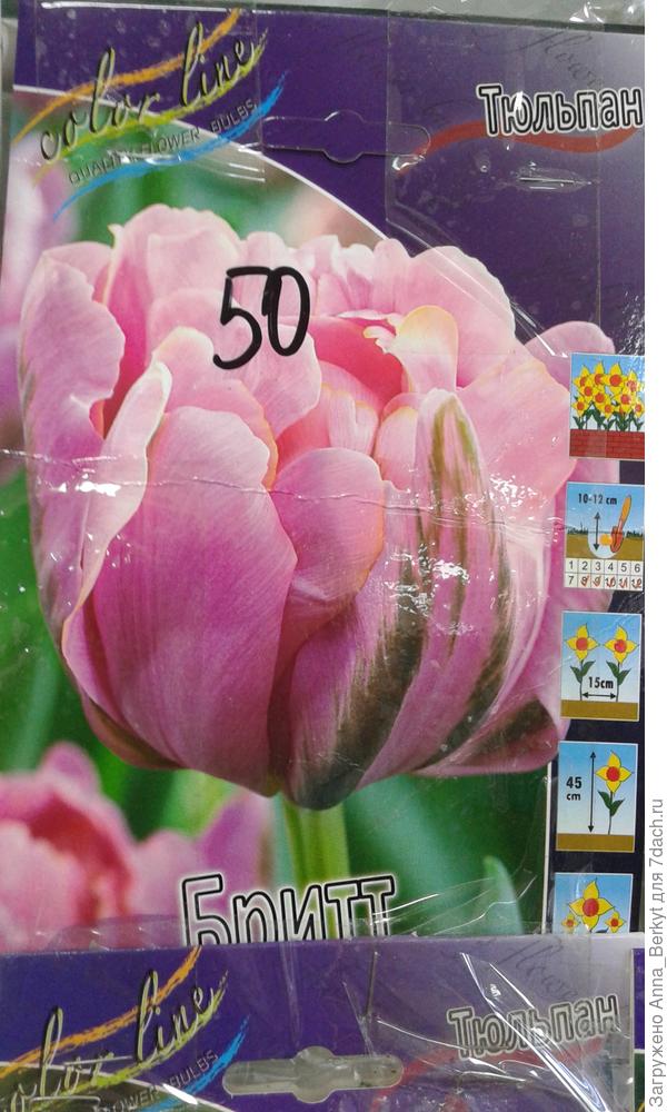 Может это и не попугайный