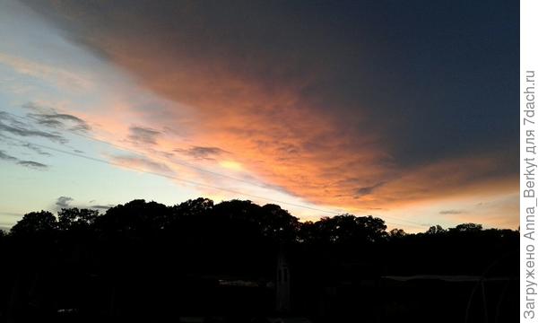 из прошлых... такой интересный закат_циклон как армада шёл