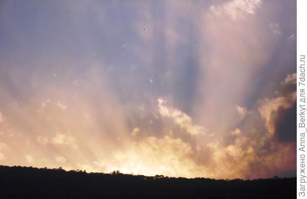 мистерия света