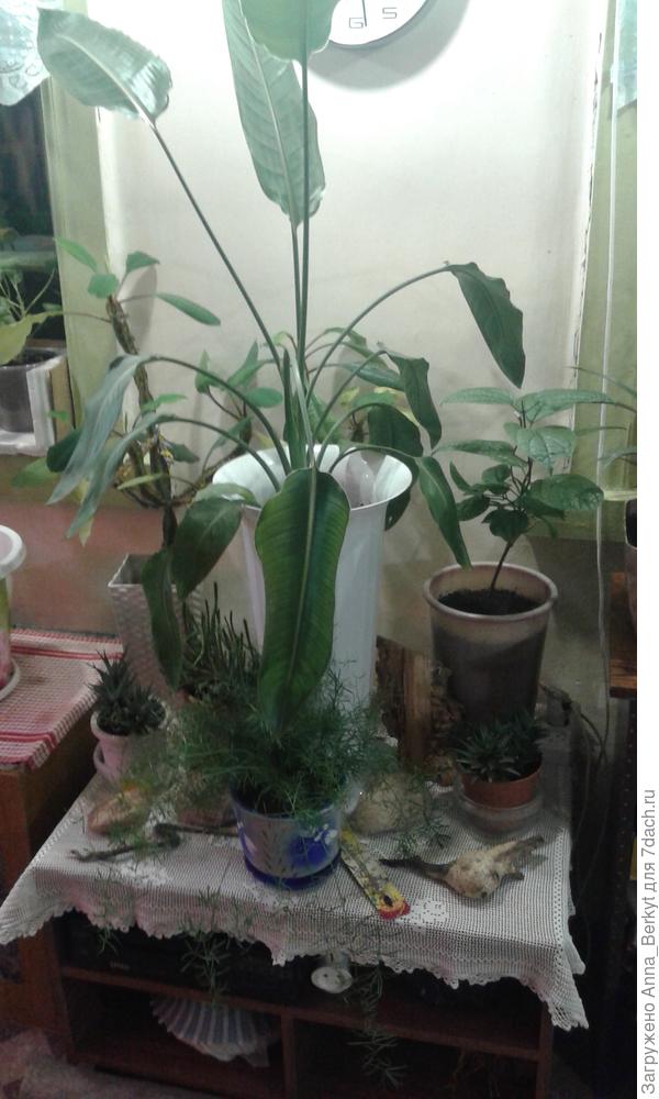 весной нам уже 2 года будет