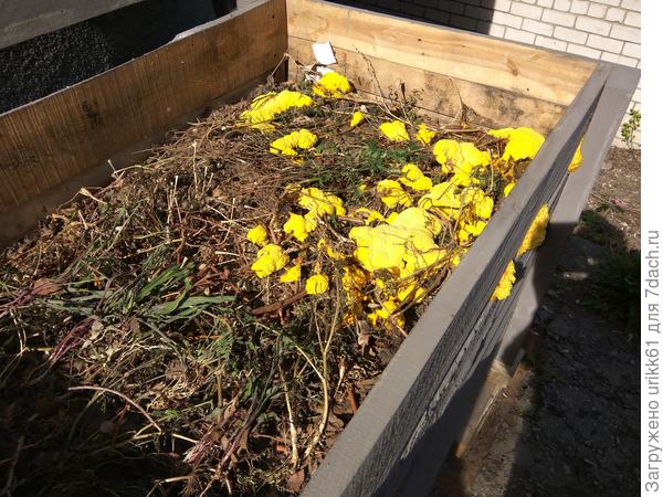 Доброго дня. Старый ящик я разломал, компост распихал по мешкам и убрал подальше в тень. Слепил новый ящик. Сегодня с утра опять старый &quot;друг&quot;.  Вопрос: как от него избавиться? Можно ли пользоваться этим компостом?