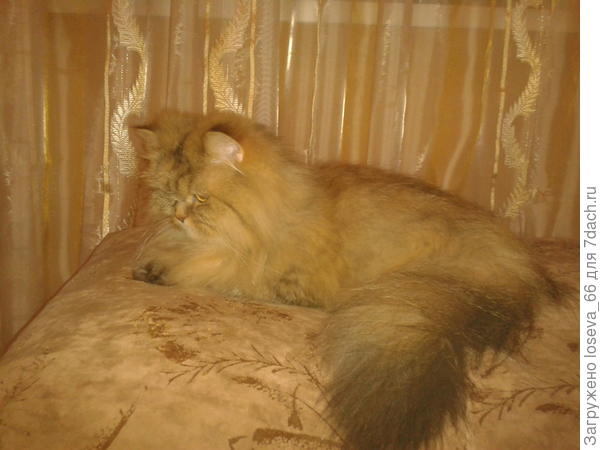 наша Тасечка