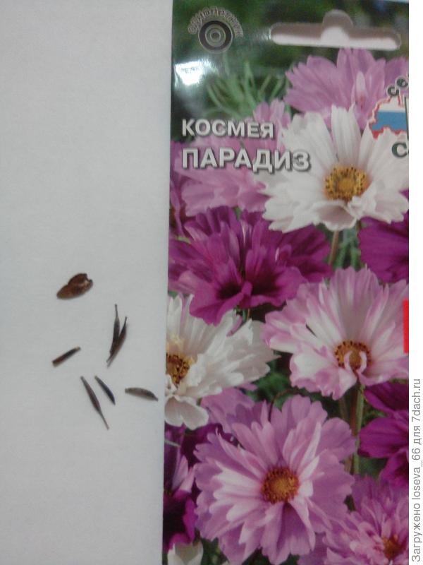 Это было в пакете