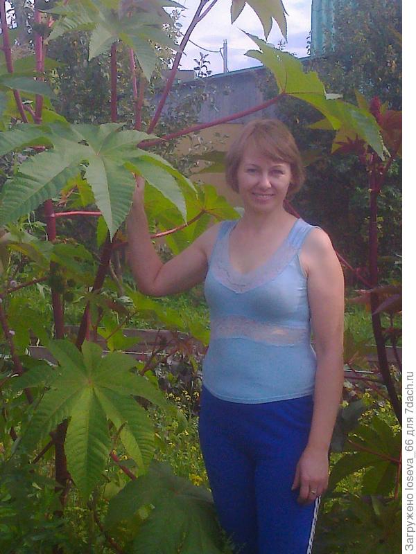 сентябрь 2013