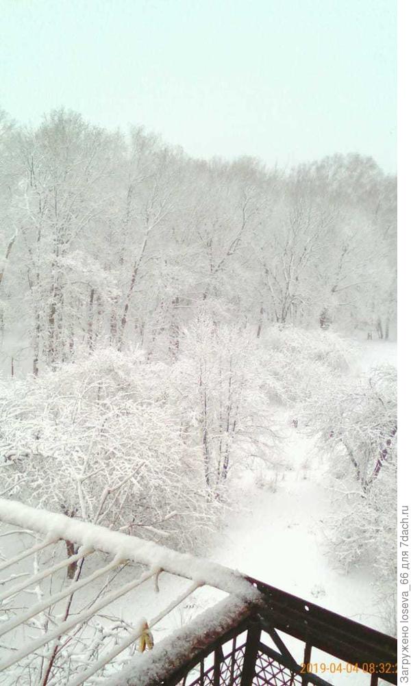 в Борисоглебск сегодня вернулась зима!