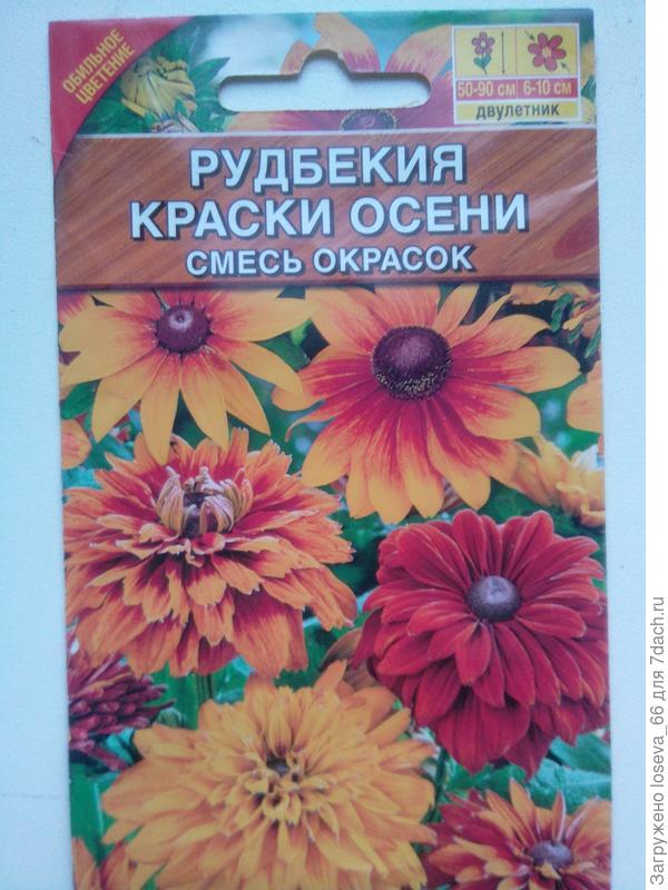 Двулетник от Аэлиты