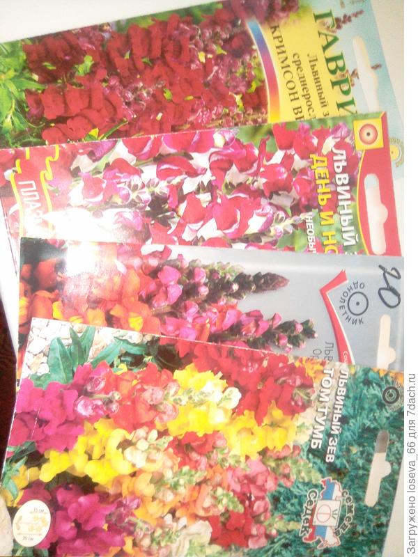 семена этого сезона