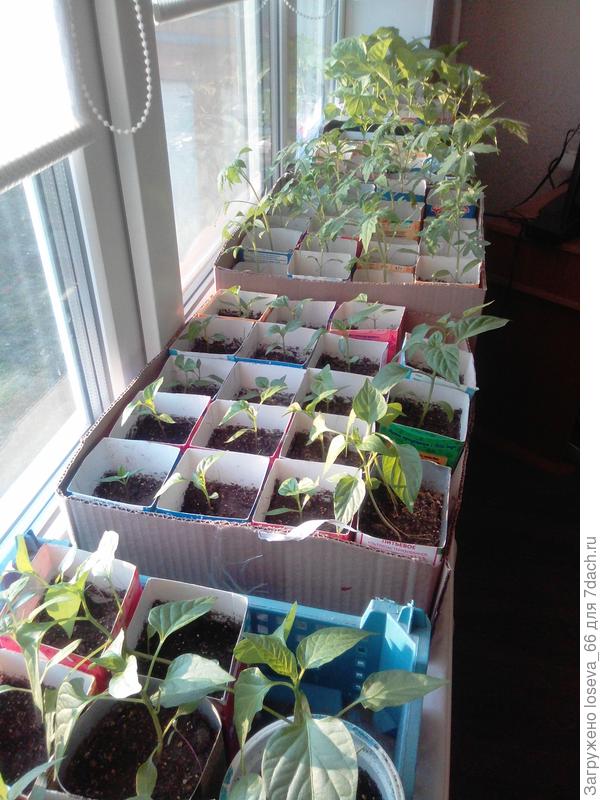 Вот такой подоконник