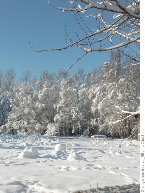 Зимнее небо