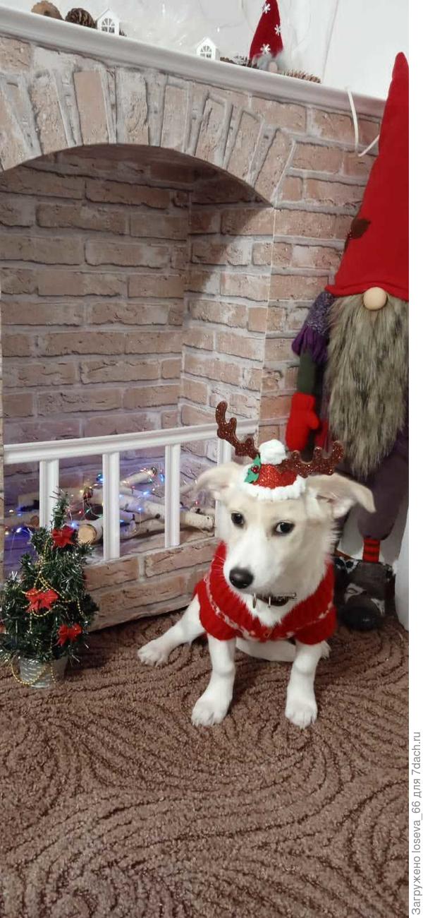 С Новым годом!!!