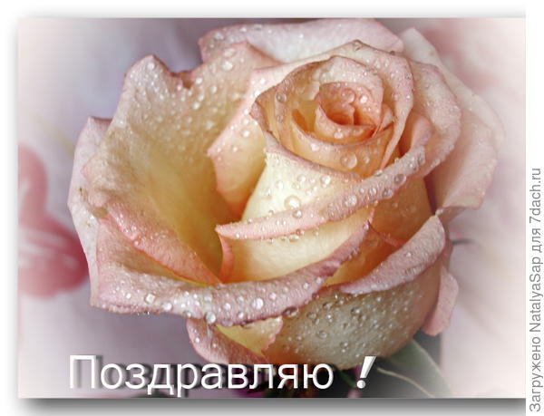 Марина, моё поздравление Вам!