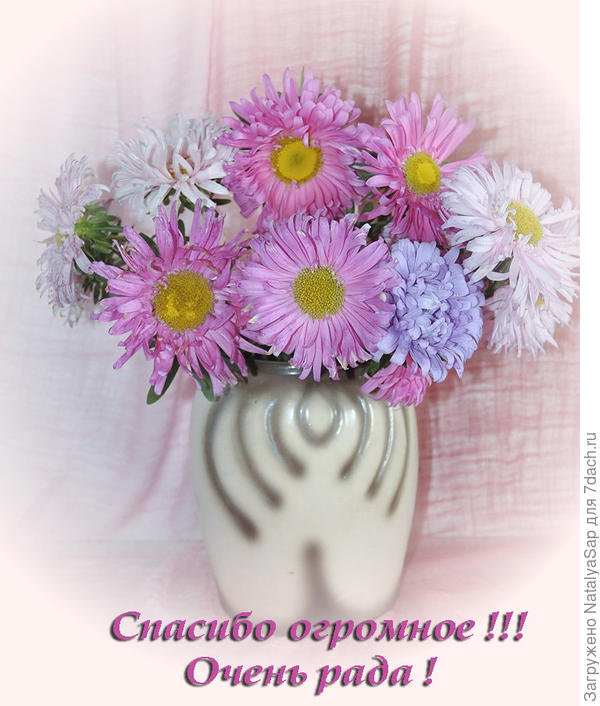 Моё сердечное спасибище!