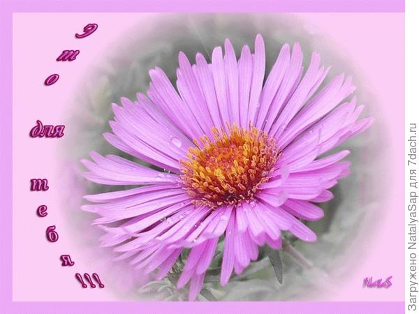 Танюша, моя открытка для тебя!