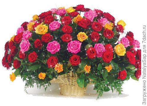 нашим победительницам!