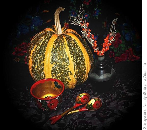 Для Золушки хороша будет!