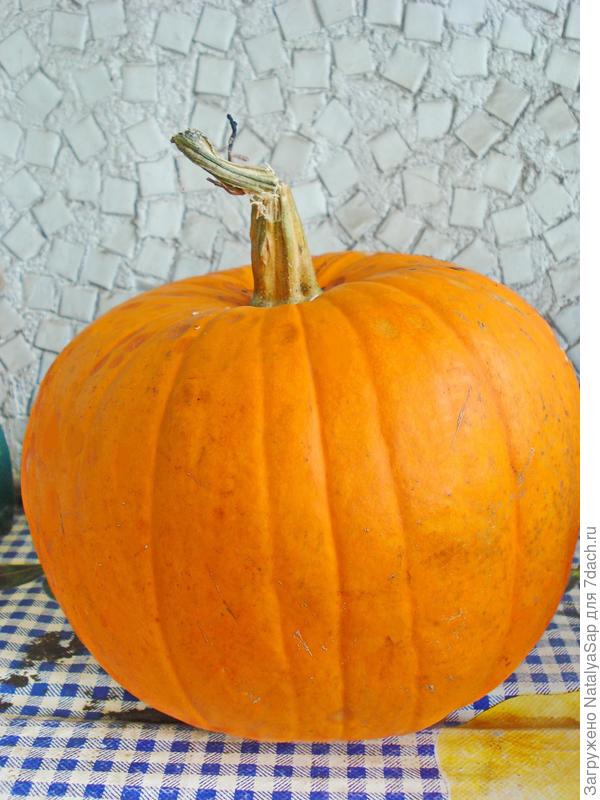 Тыква лагманная, пришла и твоя пора!