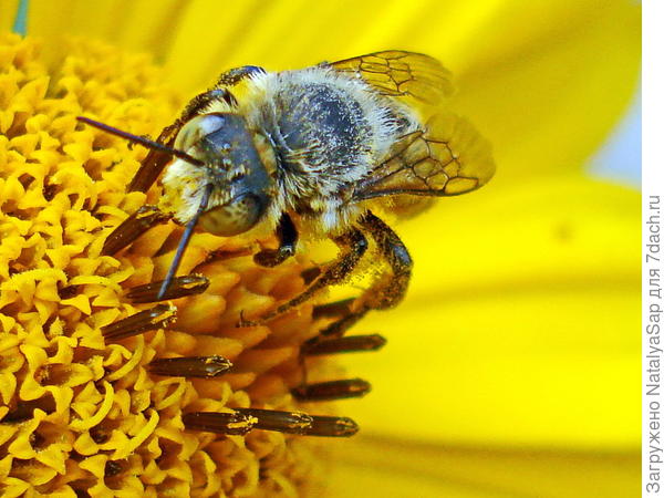 Не отвлекайте