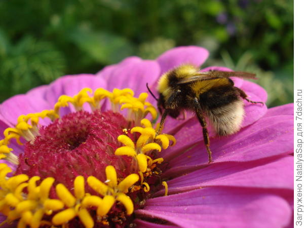 То взлёт - то посадка...