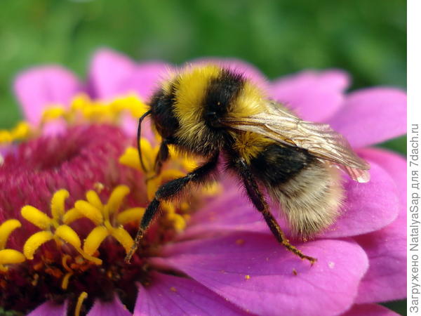 Вот так и работаем!