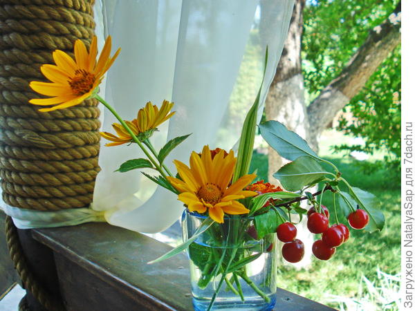 Частица дачного лета для именинницы