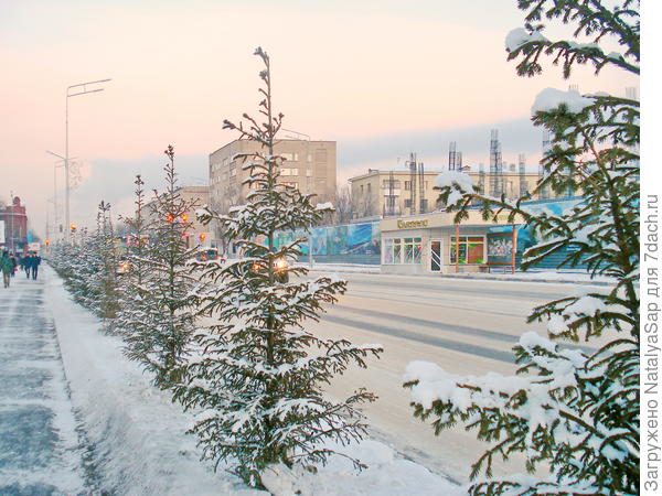 Начало вечера