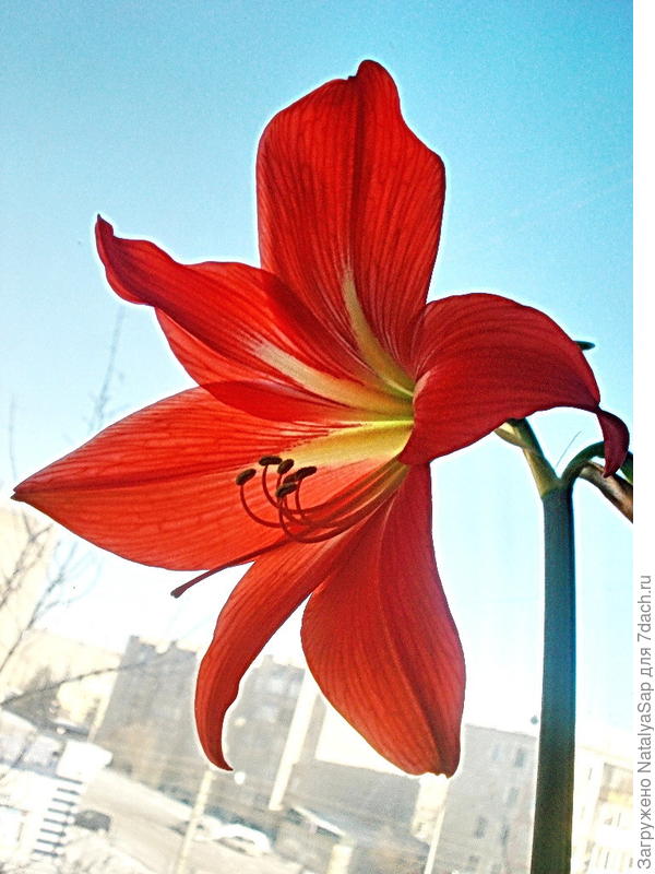 С Днём рождения, Ирина! Будьте здоровы и благополучны!