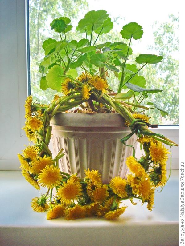 Веночек для герани