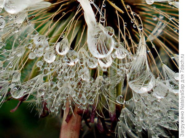 В хрустальных подвесках