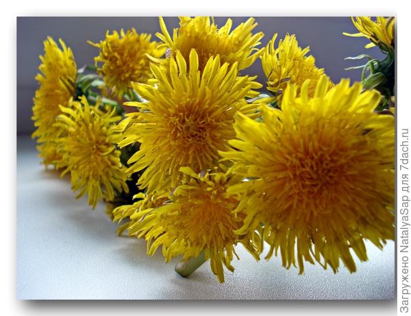 Весенний веночек