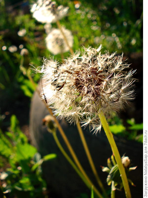 Разлетаются...