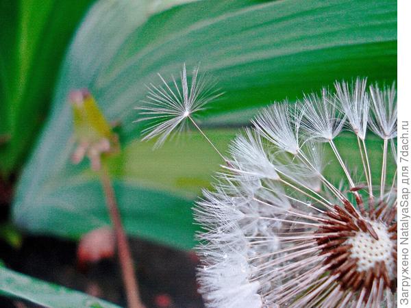 Хочется самостоятельности!