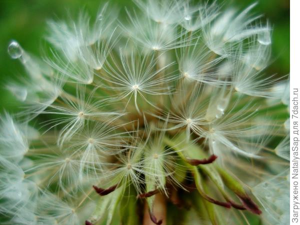 Весёлая планета!