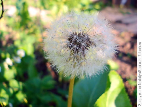 В яркий солнечный денёк
