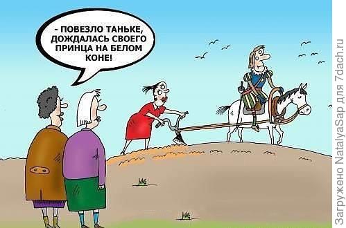 Счастливая дачница!