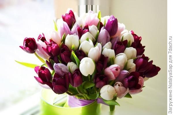 Призёрам - УРА!