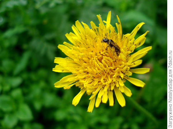 Полон дом гостей!