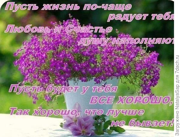 С Днём рождения, Михаил!