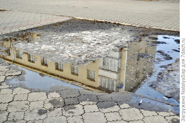 Мала лужица, весь дом не поместился! )))